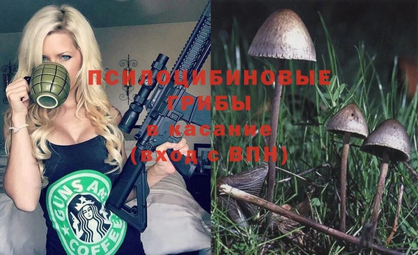 дурь Осташков