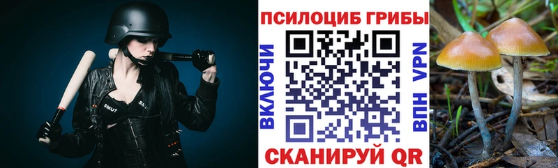 Галлюциногенные грибы Cubensis  Арамиль 